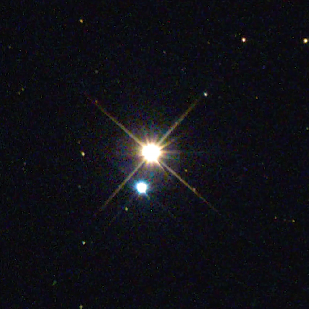 Albireo