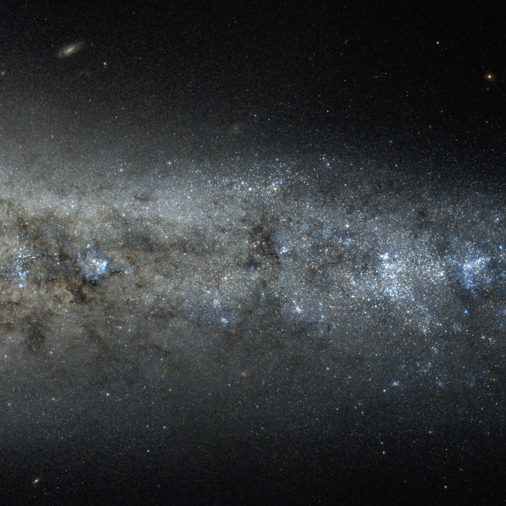 Whale Galaxy